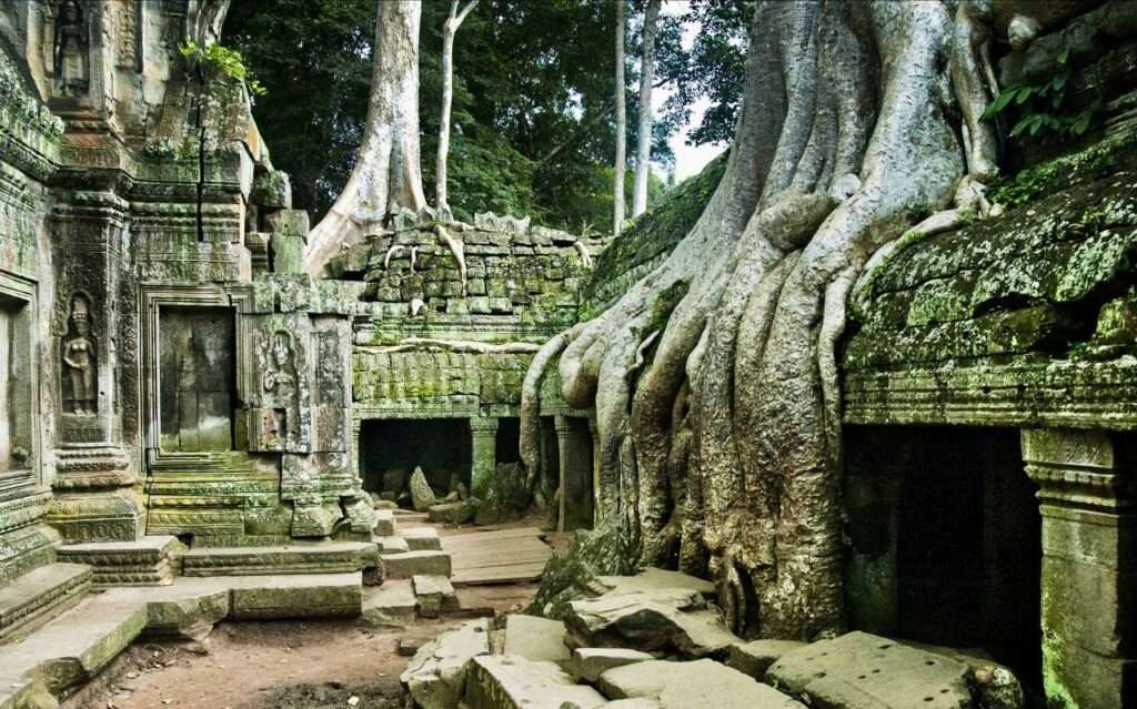 ta prohm