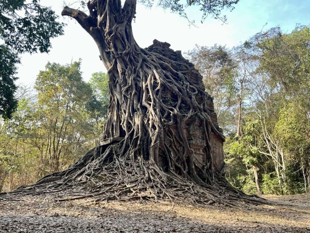 photo_2026-02-25 11.16.23