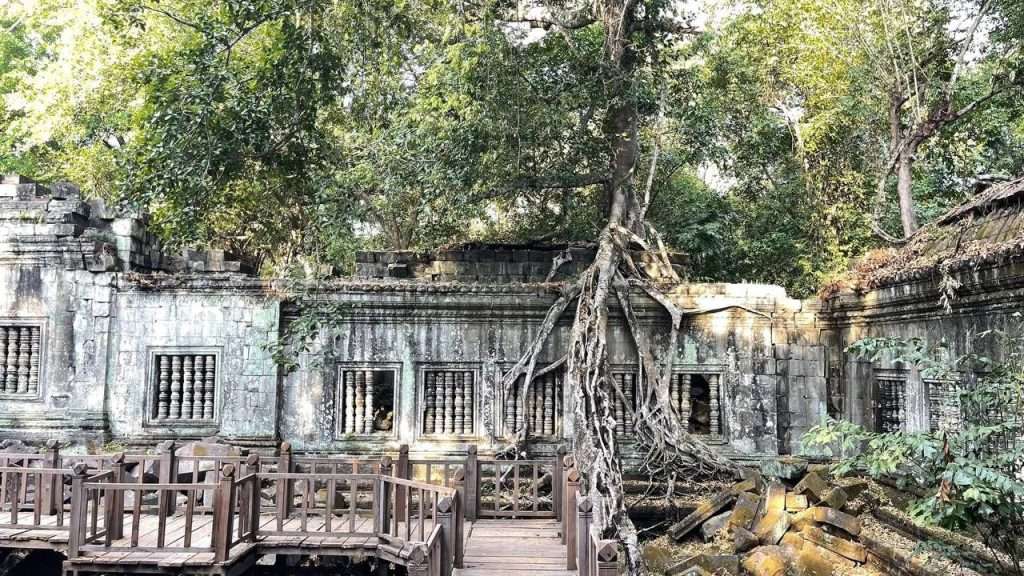 beng-mealea