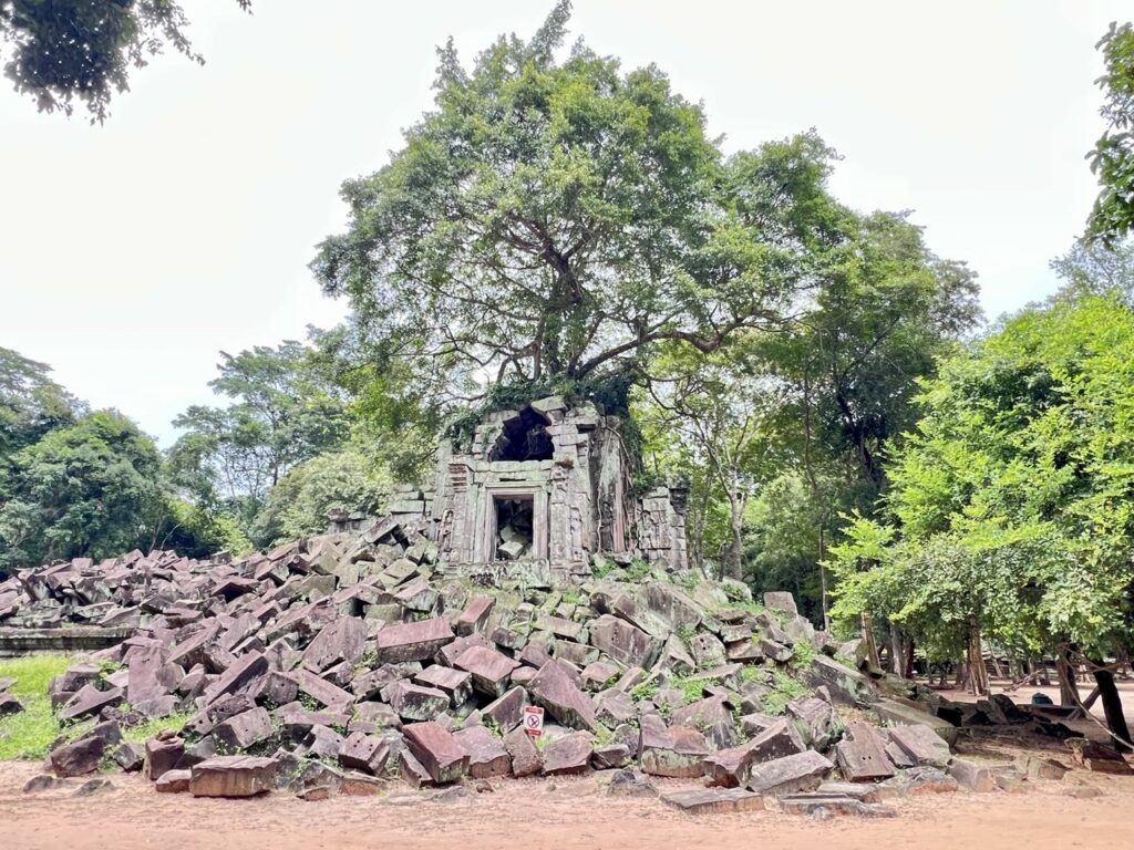 beng-mealea