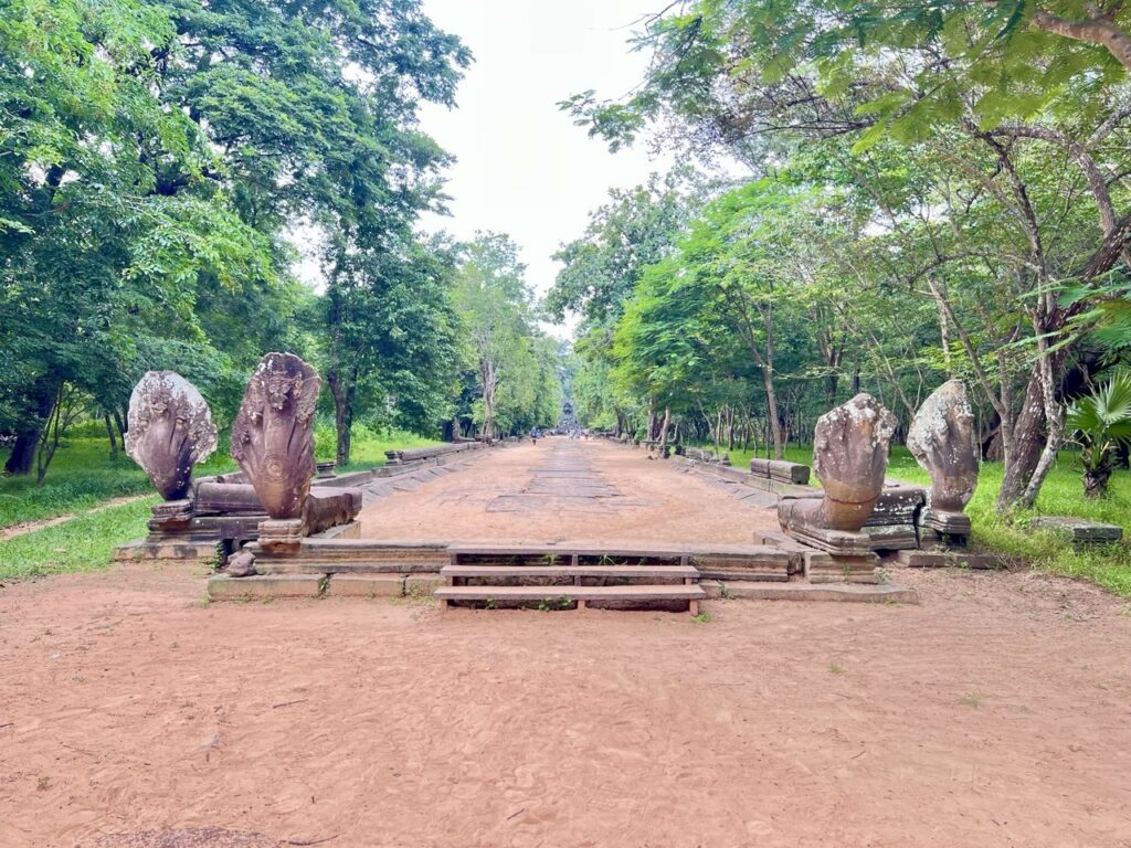 bengmealea-